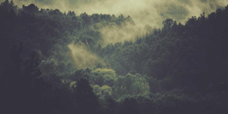 智能洞察，流量跃升：AI如何重塑网络分析与前端优化新范式
