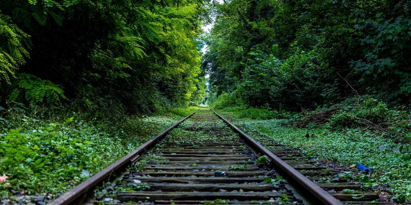 网络即服务（NaaS）：以订阅模式重构企业网络，驱动未来科技与成本革命