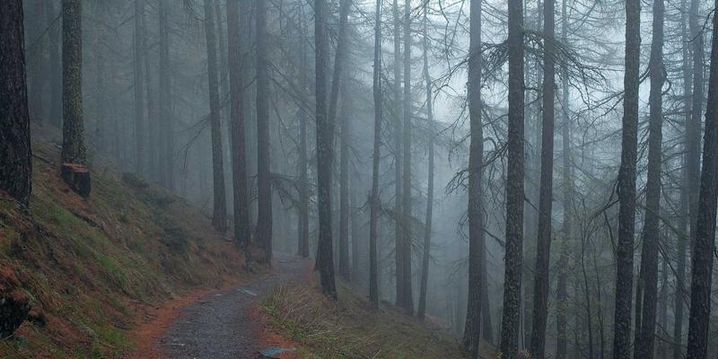 解码数字化转型：后端技术、编程开发与前端开发如何重塑企业未来